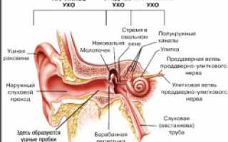 Если у вас шум в ушах, головокружение, слабость