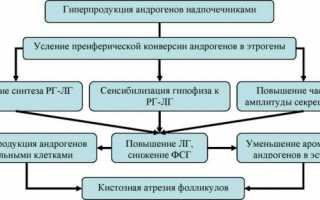 Что делать если повышены андрогены и какие могут быть последствия?