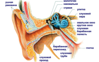 Что делать, если стреляет в ухе?