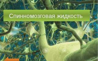 Что такое туберкулезный менингит и менингоэнцефалит у детей и взрослых